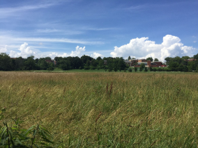 Campo aberto